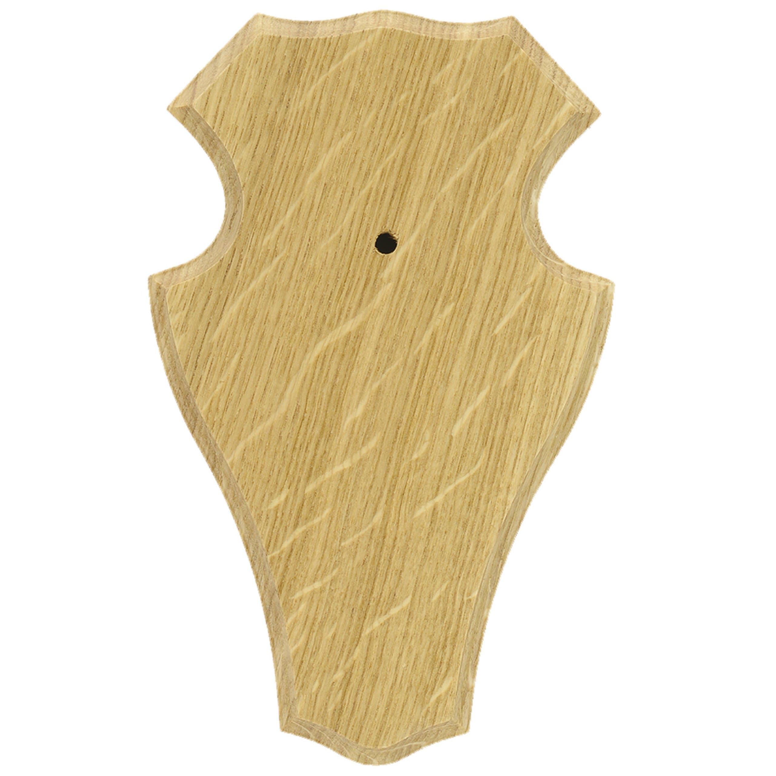 Gehörnbrettchen Rehbock Eiche hell