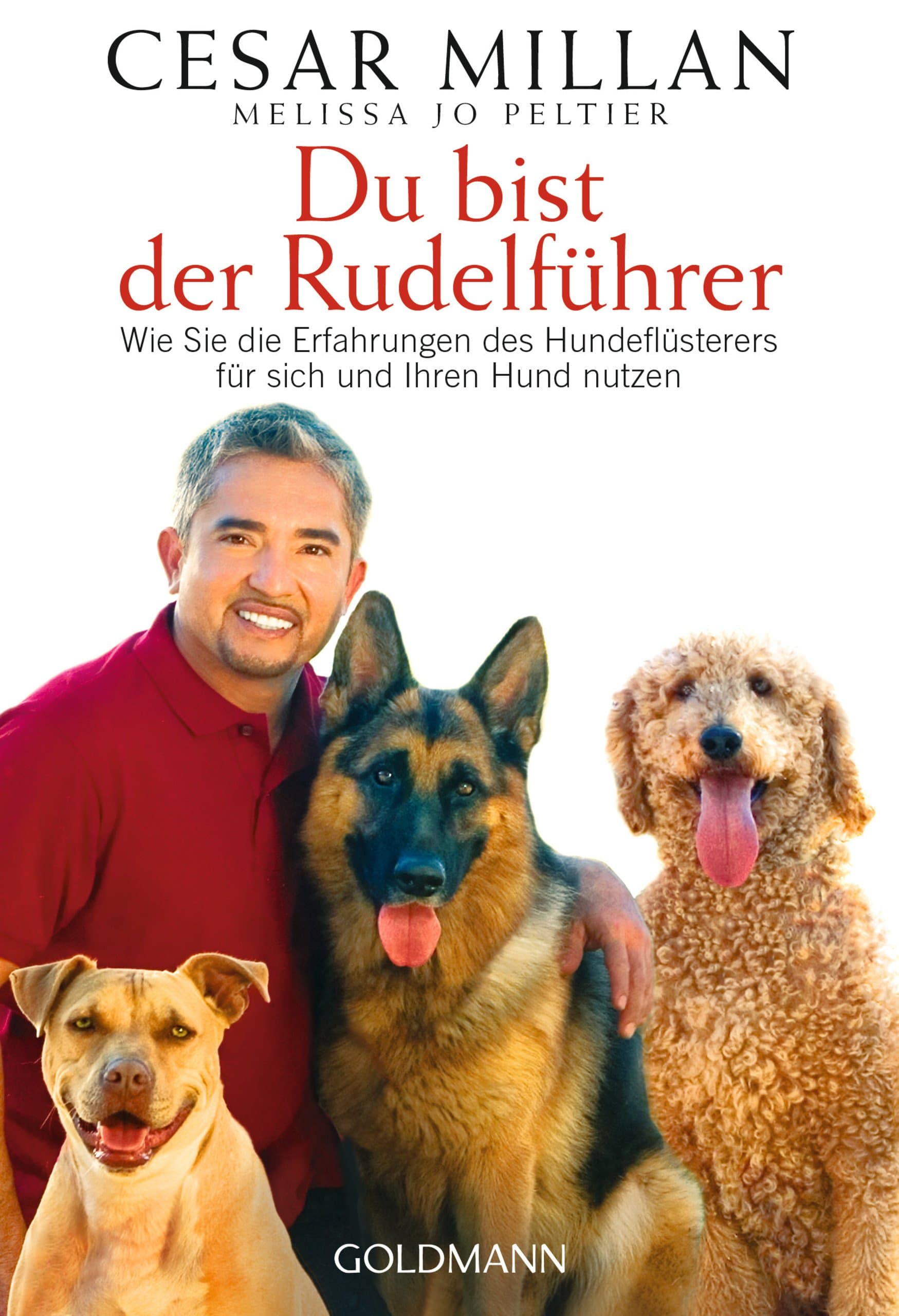 Du bist der Rudelführer – Wie Sie die Erfahrungen des Hundeflüsterers für sich und Ihren Hund nutzen