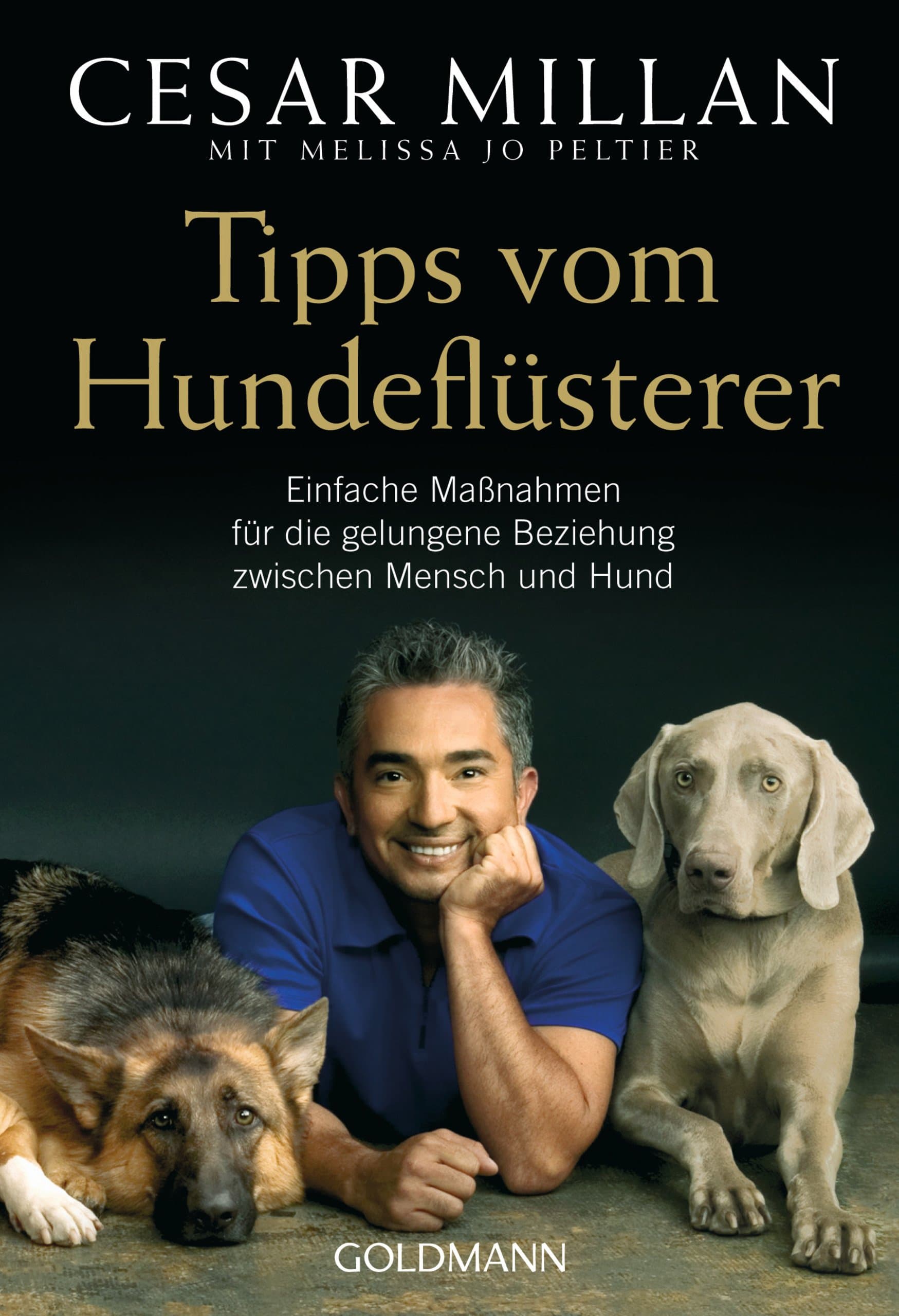Tipps vom Hundeflüsterer – Einfache Maßnahmen für die gelungene Beziehung zwischen Mensch und Hund