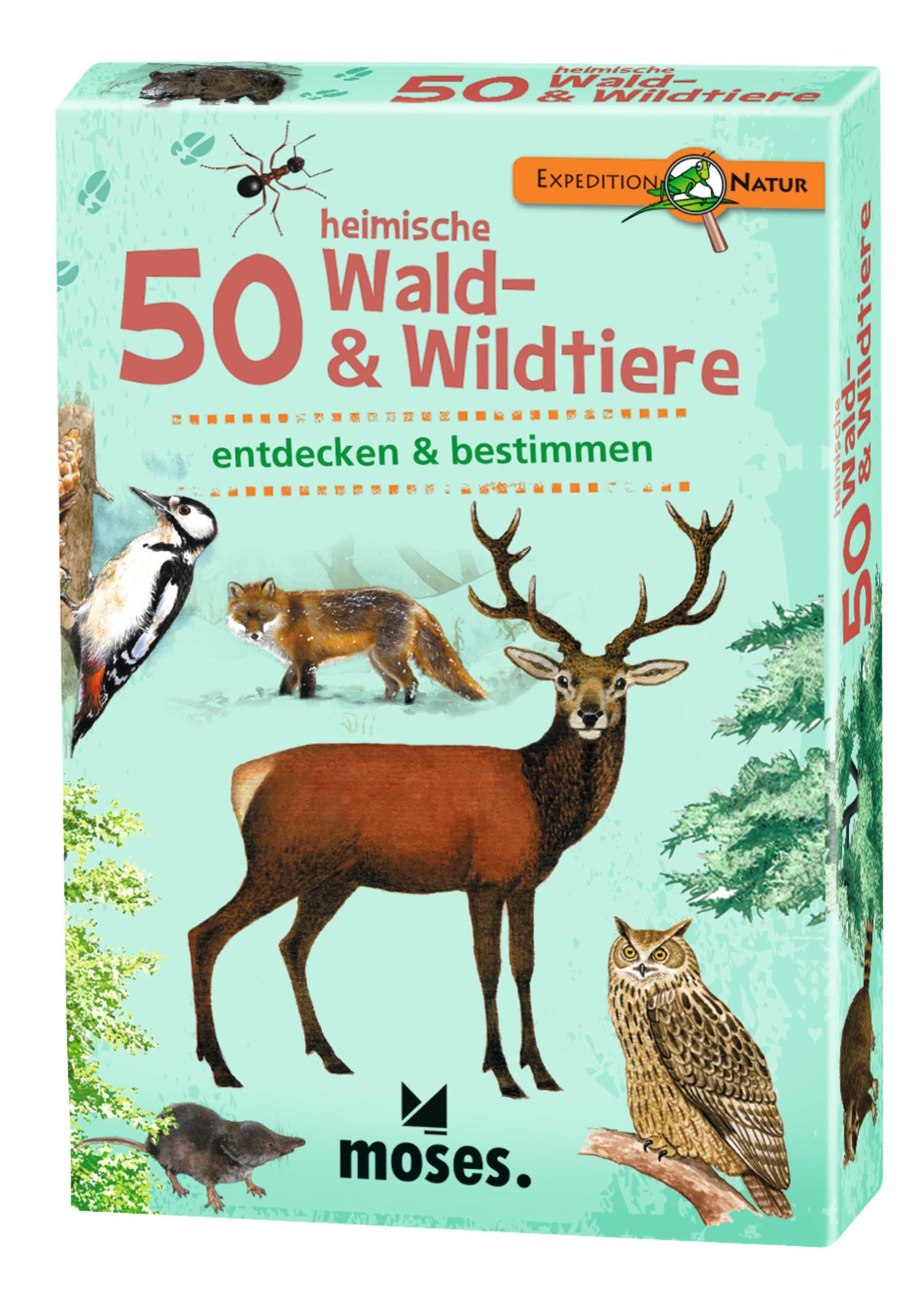 Moses Kartenspiel 50 heimische Wald- & Wildtiere