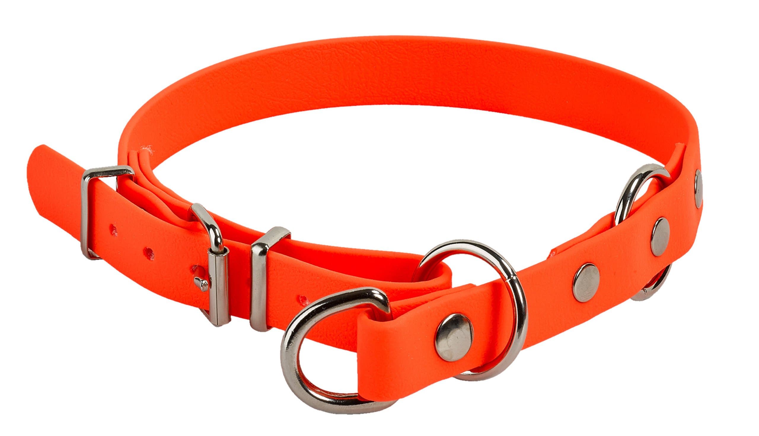 Biothane-Zughalsband mit Begrenzung