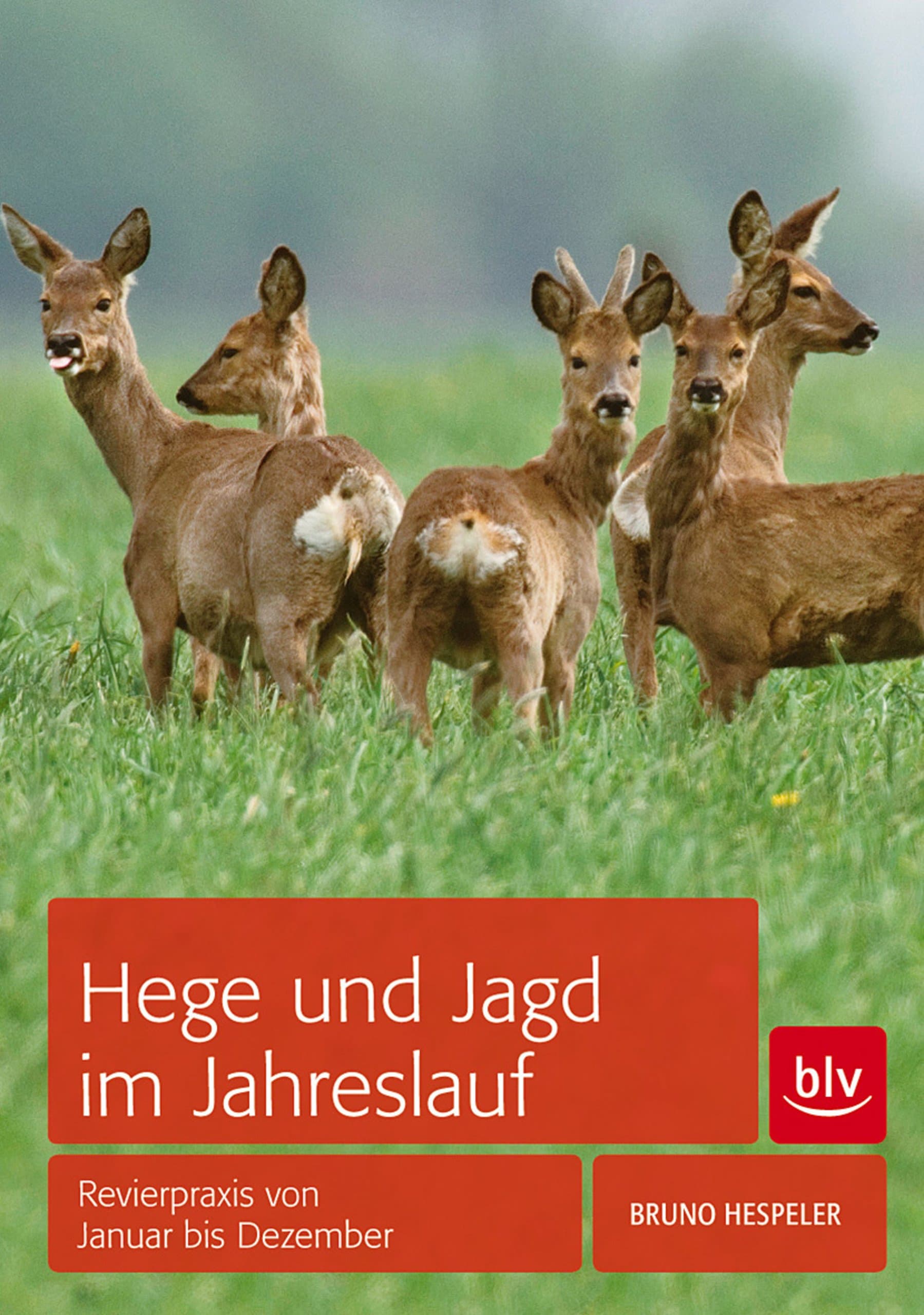 Hege und Jagd im Jahreslauf – Revierpraxis von Januar bis Dezember