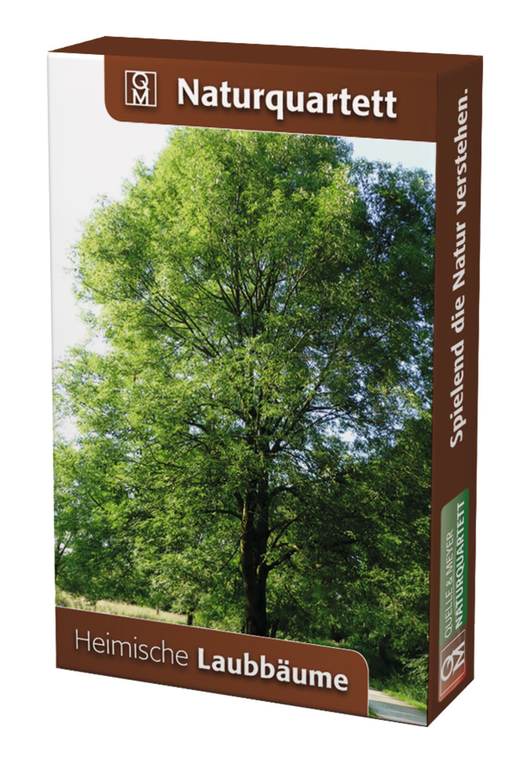 Naturquartett Heimische Laubbäume