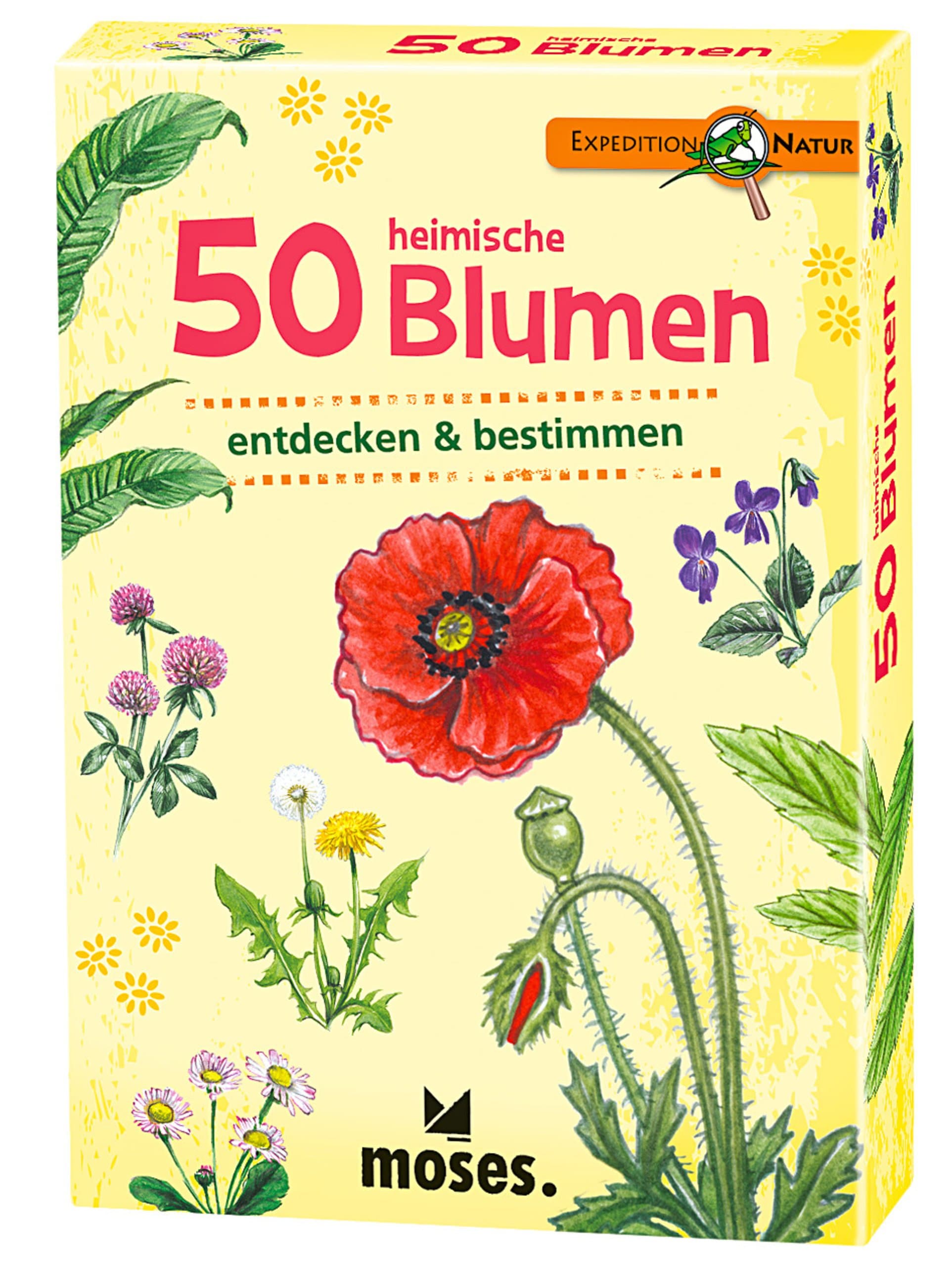 Moses Kartenspiel 50 heimische Blumen