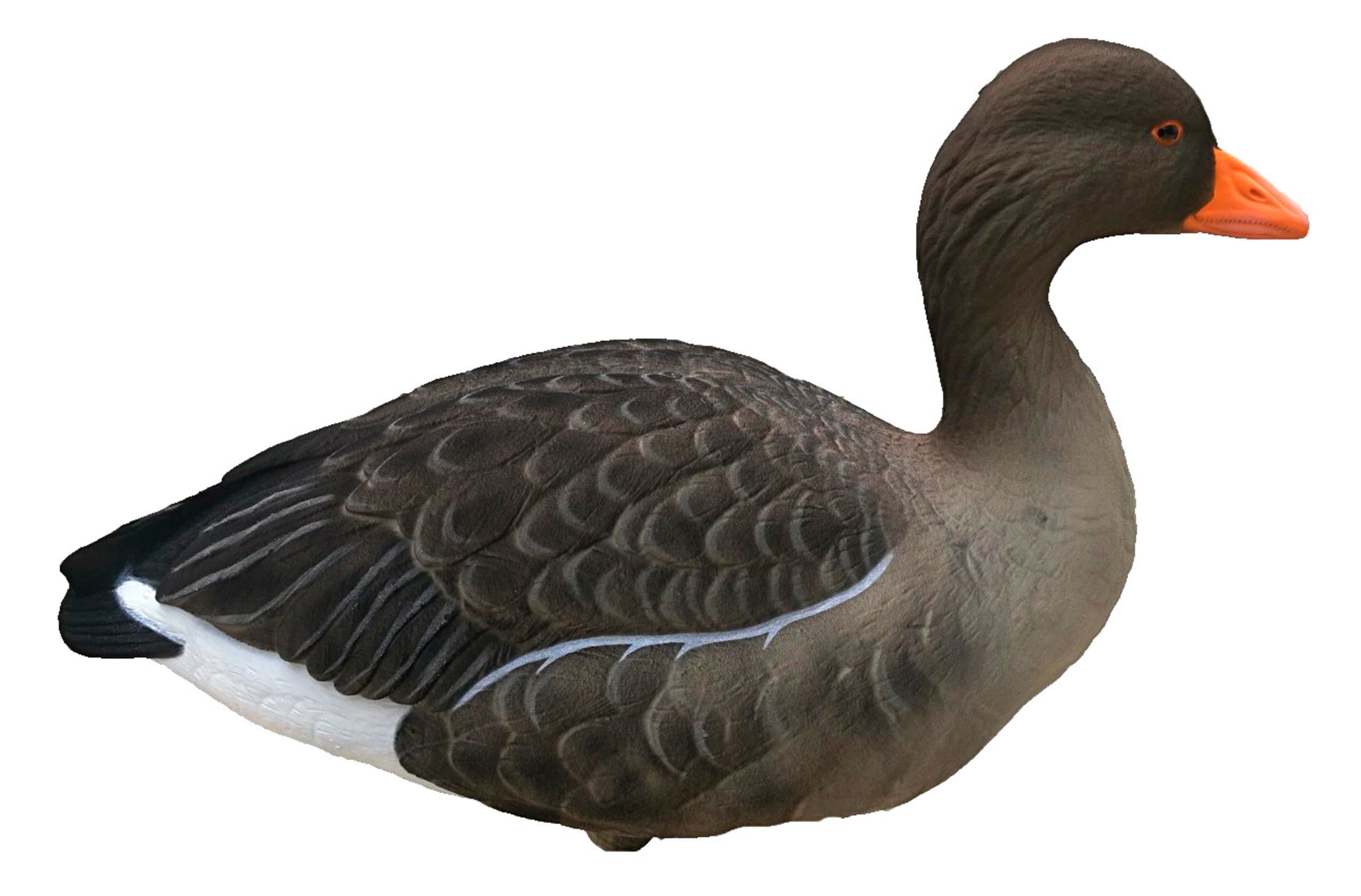 Final Approach Lockvogel-Set Graugans