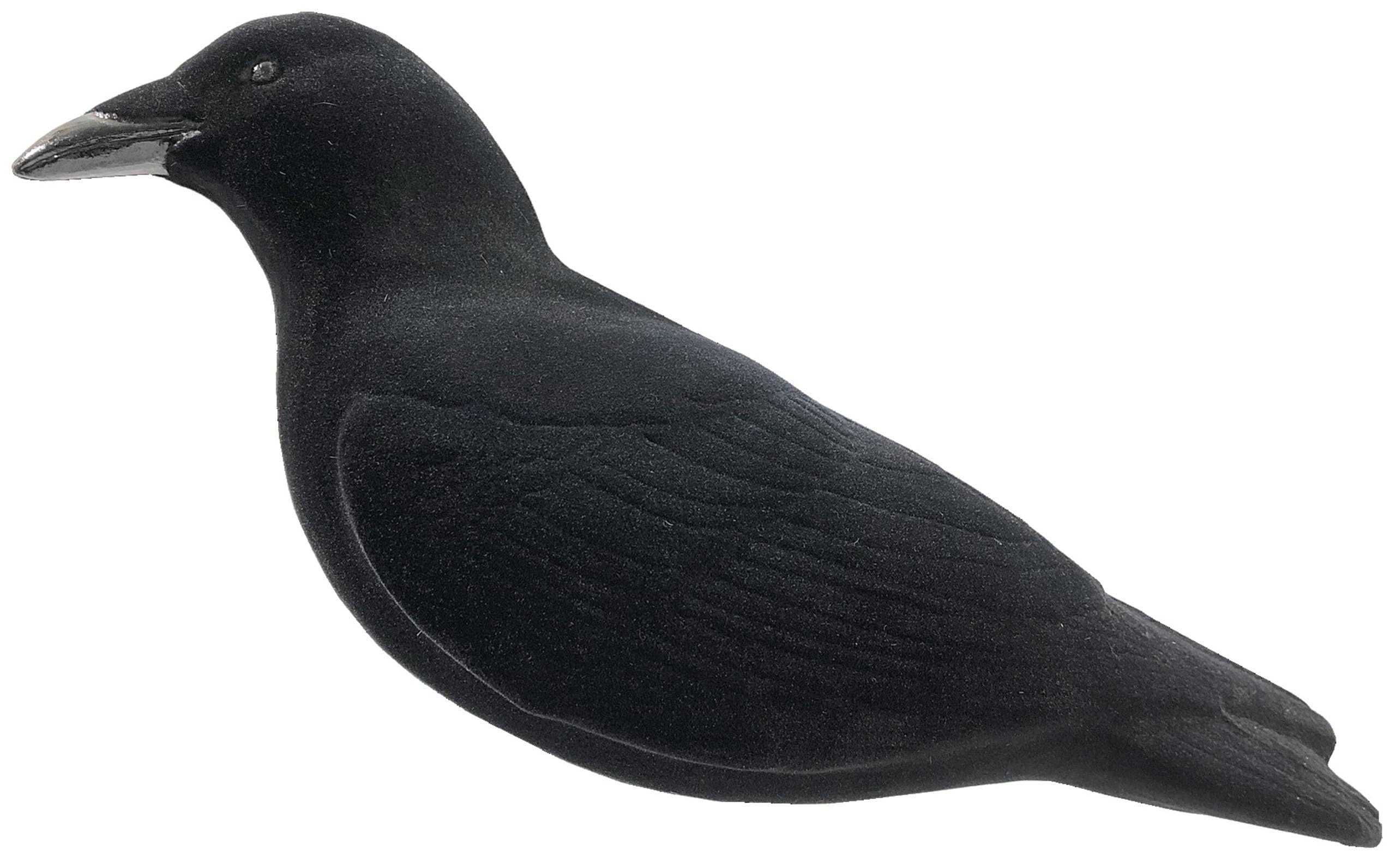 Final Approach Lockvogel-Set Lockkrähe Last Pass