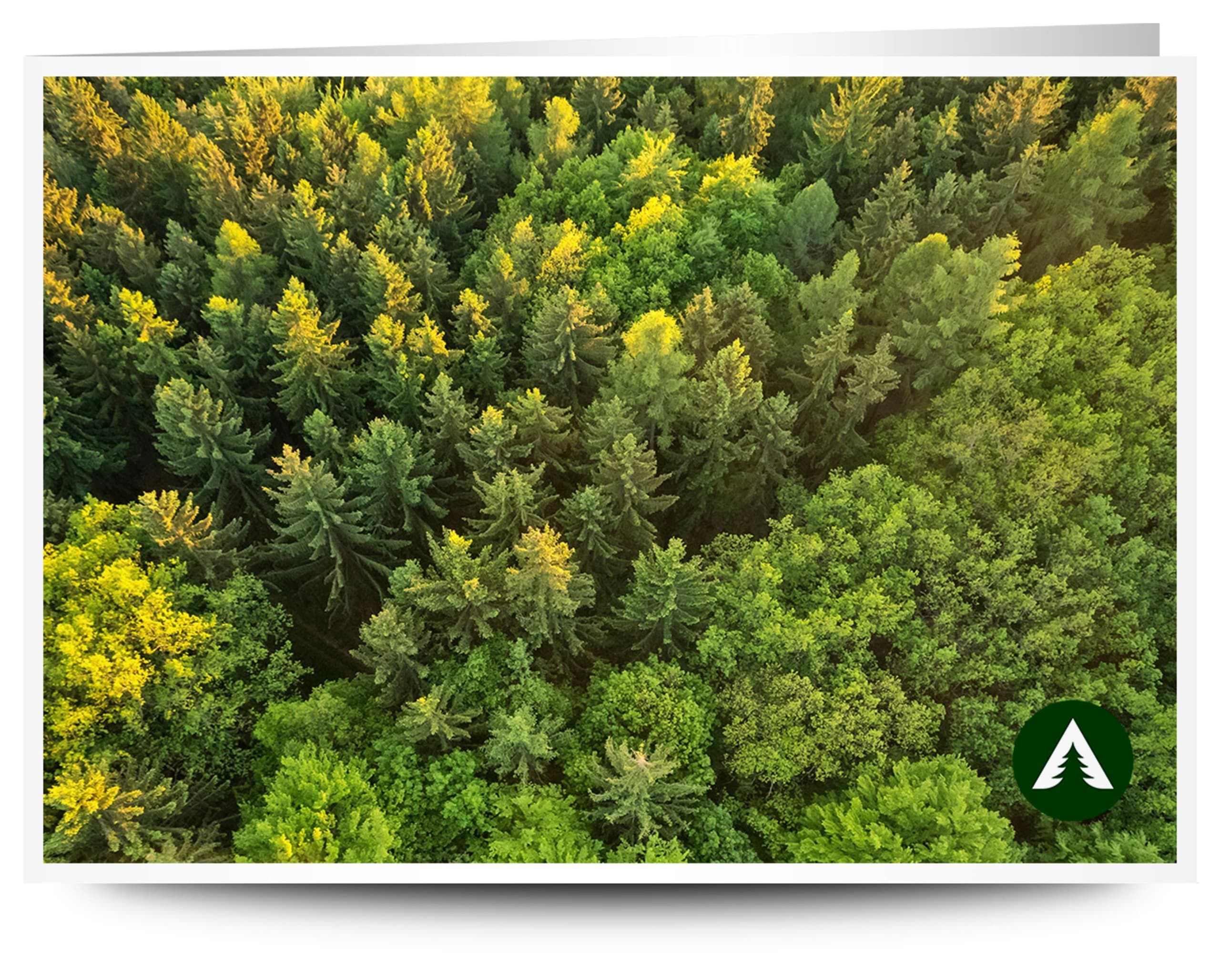 Geschenkgutschein zum Drucken