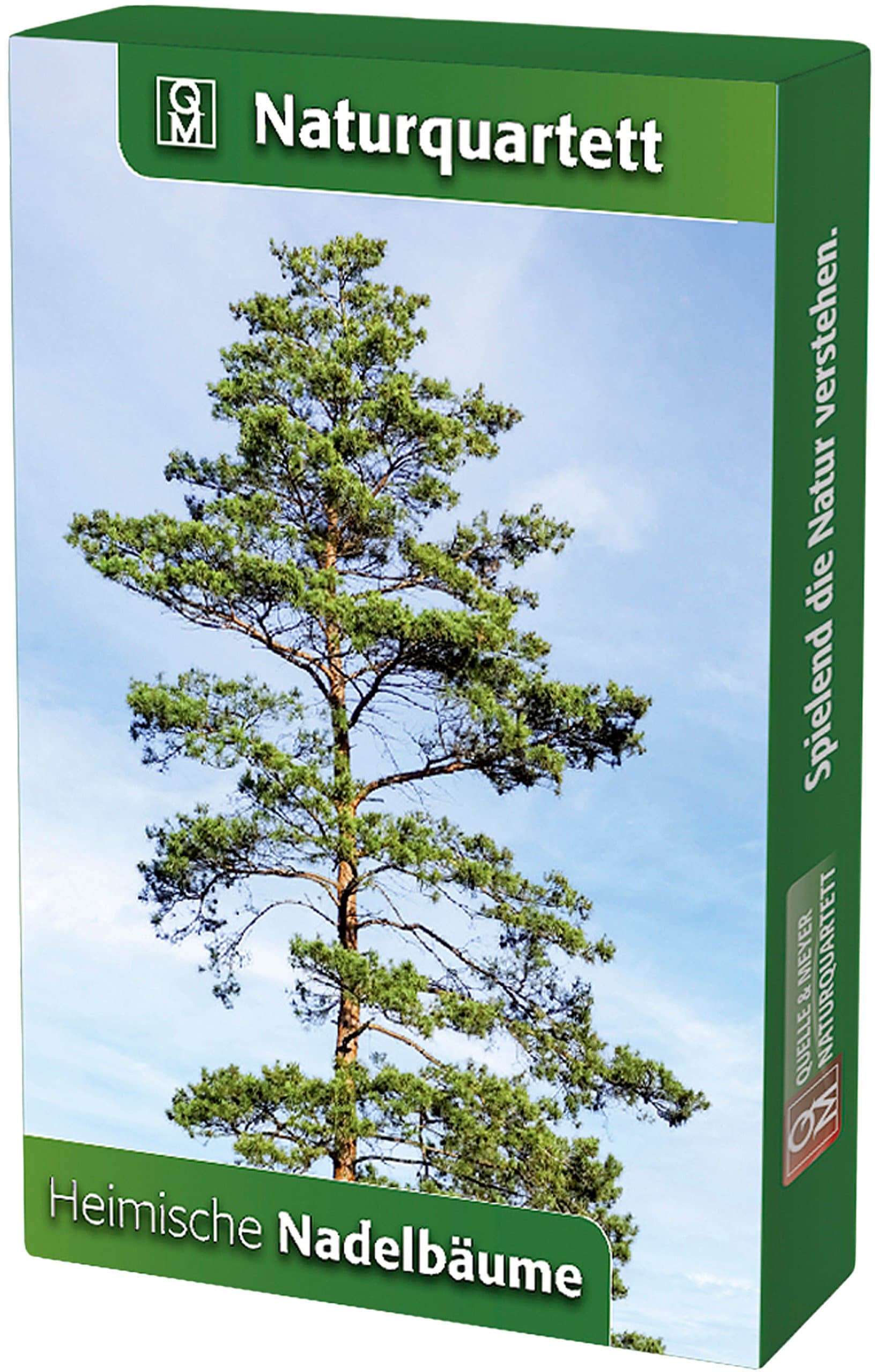 Naturquartett Heimische Nadelbäume