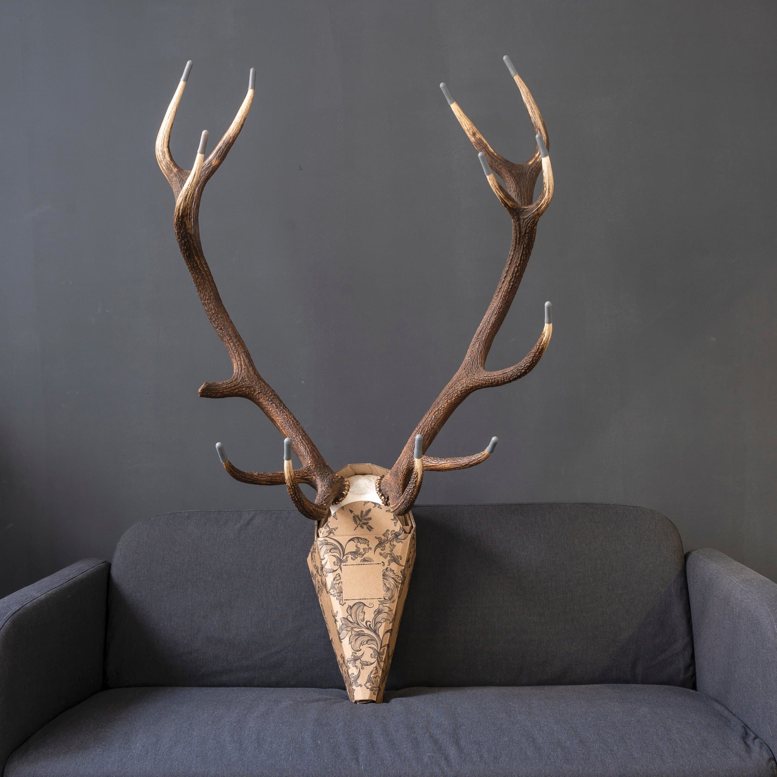 Skullyprotekt Trophäenschutz Rothirsch