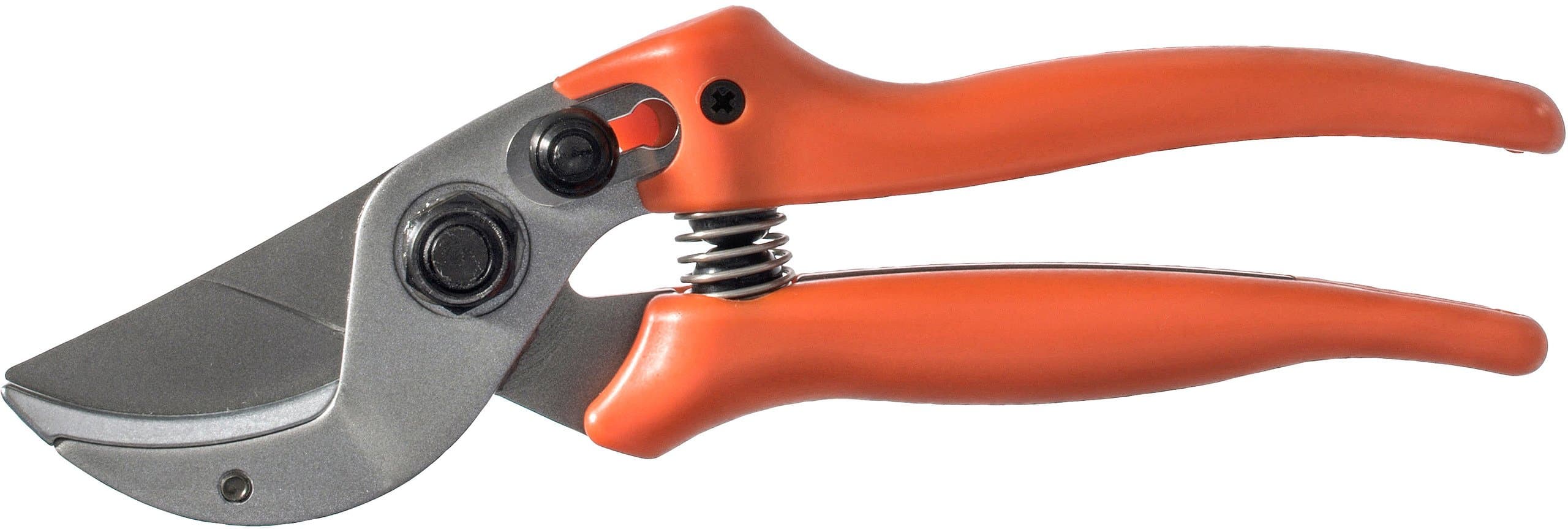 Löwe Jagdschere 15.114