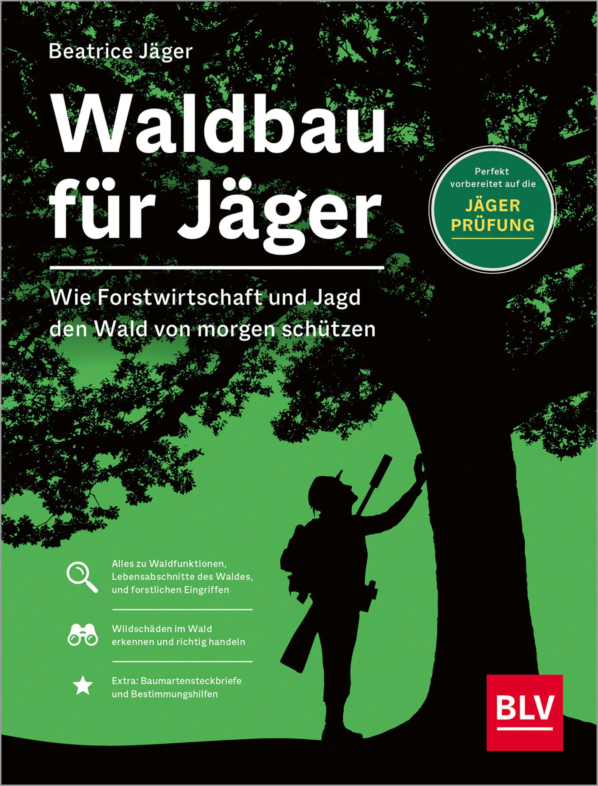 Waldbau für Jäger – Wie Forstwirtschaft und Jagd den Wald von morgen schützen
