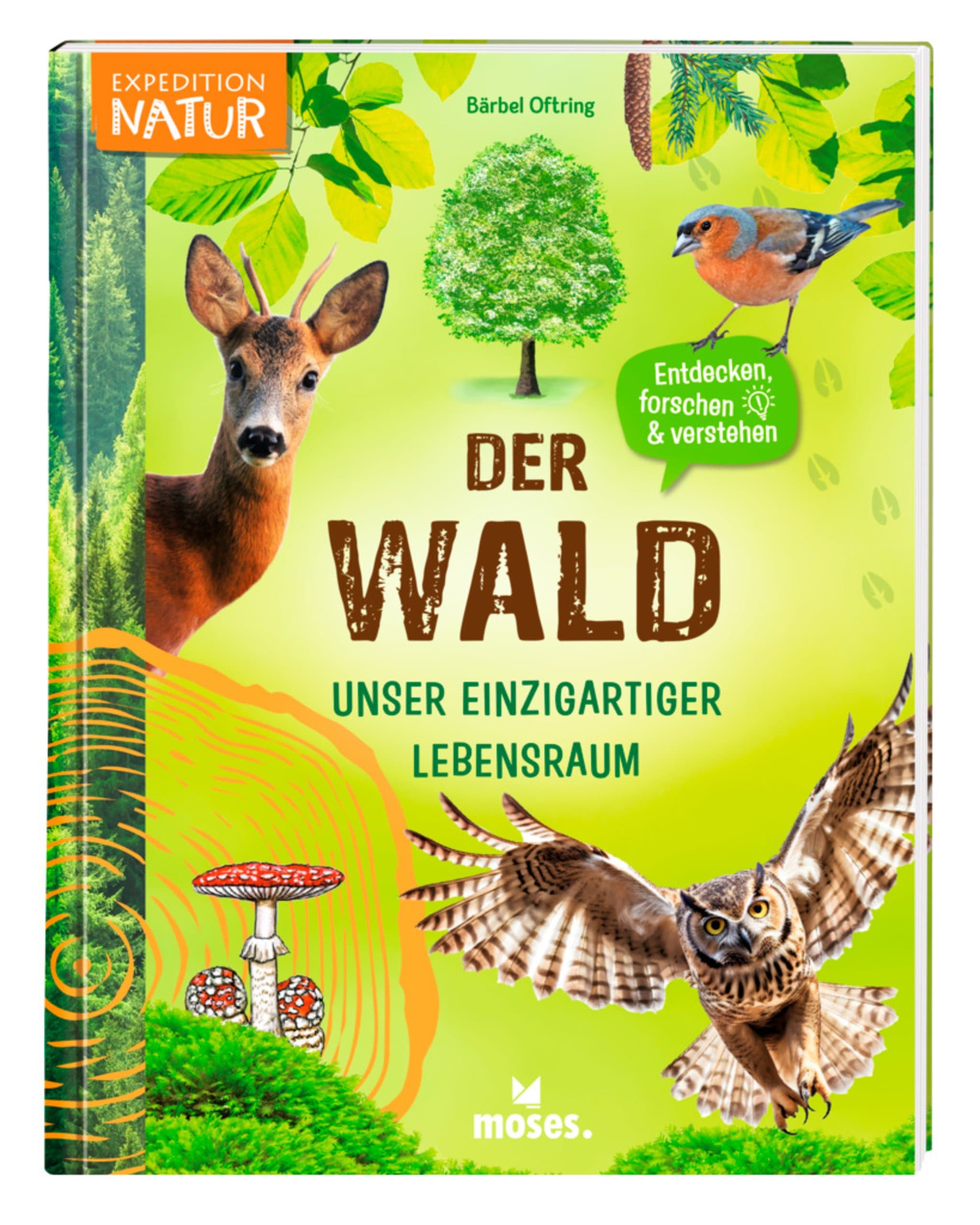 Der Wald – Unser einzigartiger Lebensraum
