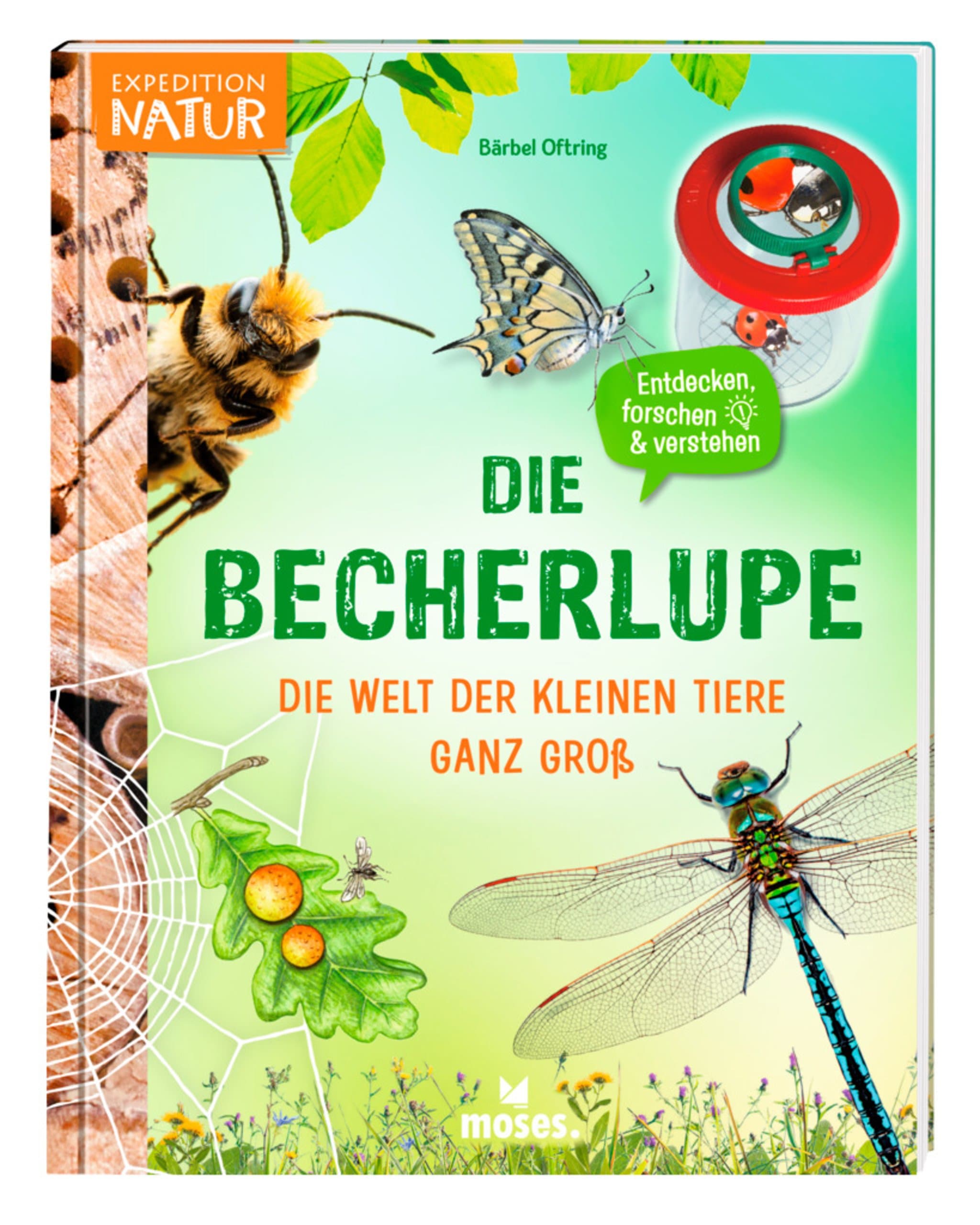 Die Becherlupe – Die Welt der kleinen Tiere ganz groß