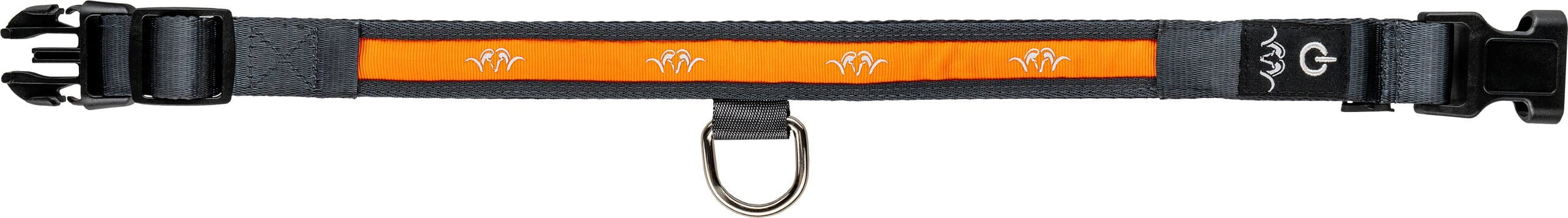 Blaser Hundehalsband LED